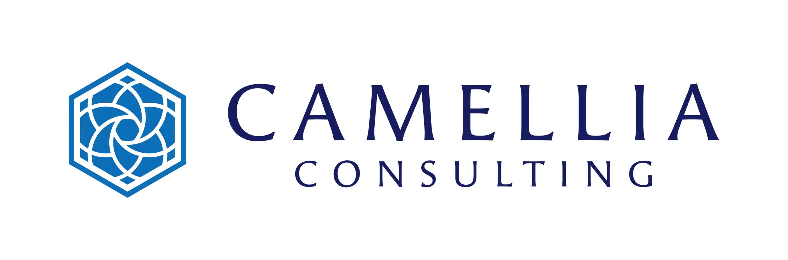 CAMELLIA CONSULTING Co., Ltd.